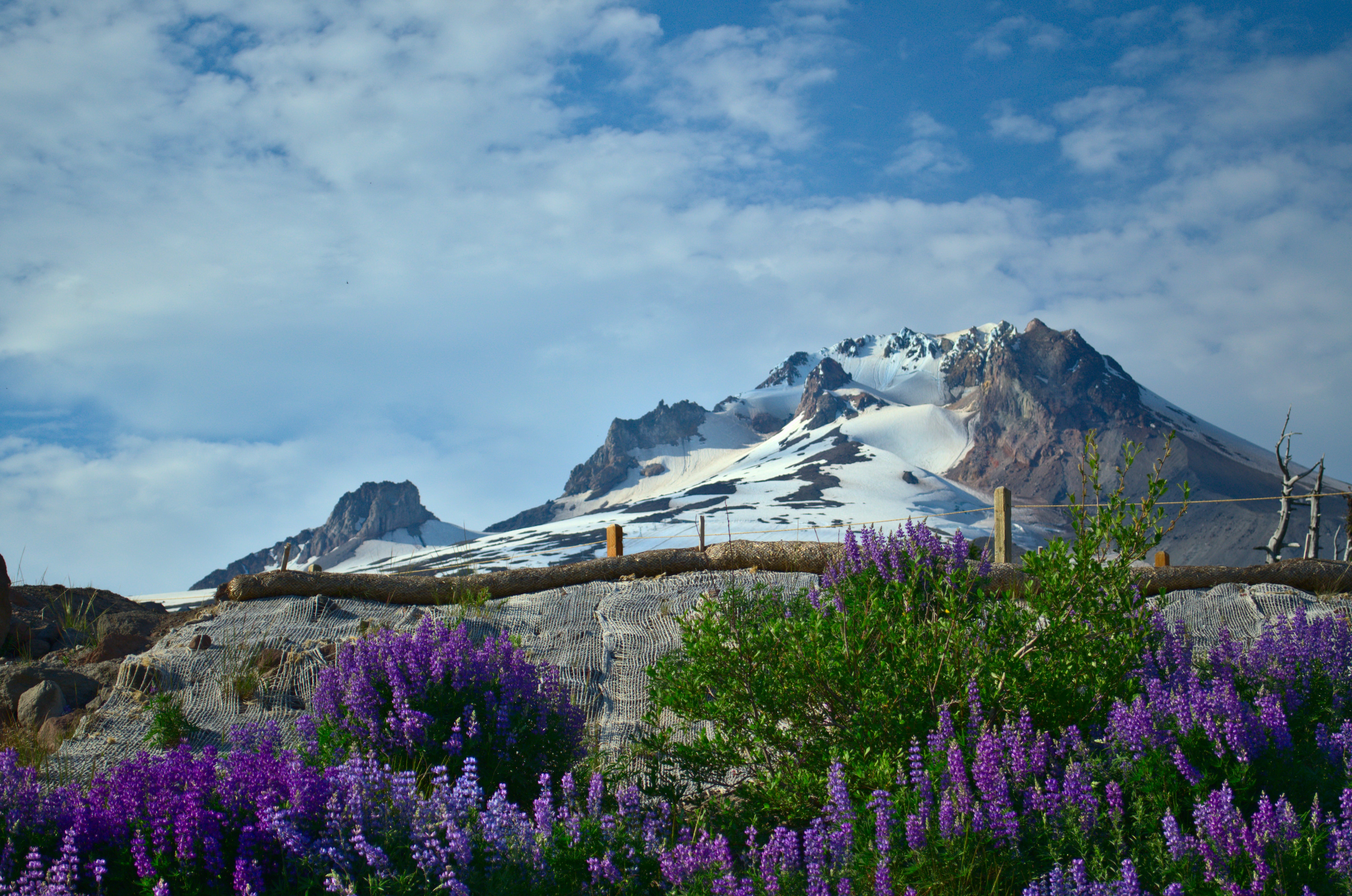 Mount Hood 